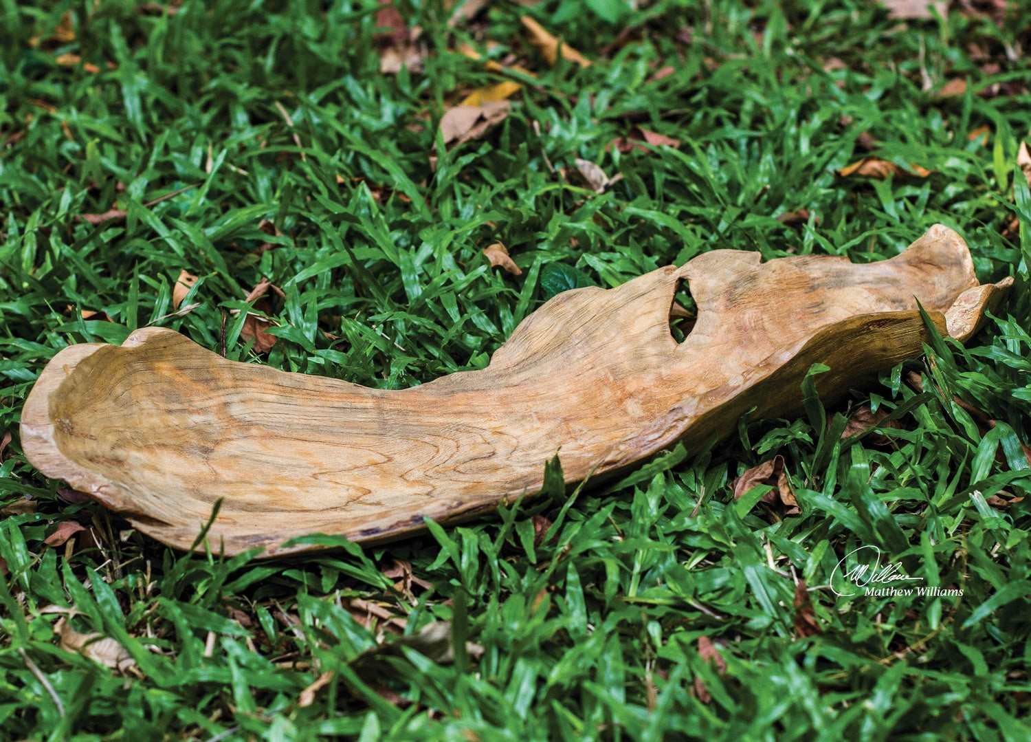 UTTERMOST LEAF BOWL - Decorative Accents