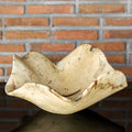 UTTERMOST Tamarine Bowl - Decorative Accents