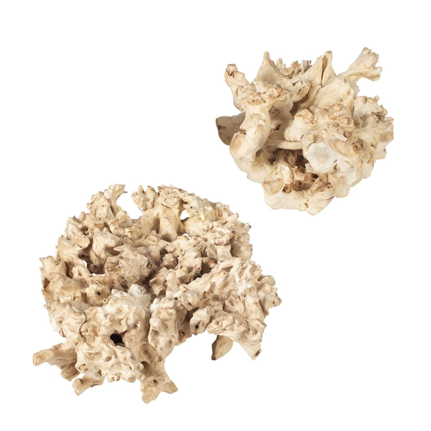 UTTERMOST ELEMENTAL ROOT OUTDOOR SCULPTURES - Decorative Accents