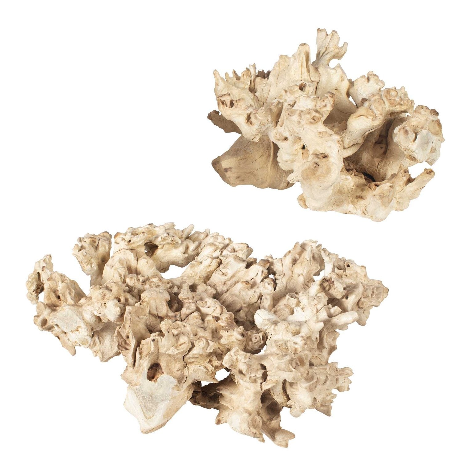 UTTERMOST ELEMENTAL ROOT OUTDOOR SCULPTURES - Decorative Accents