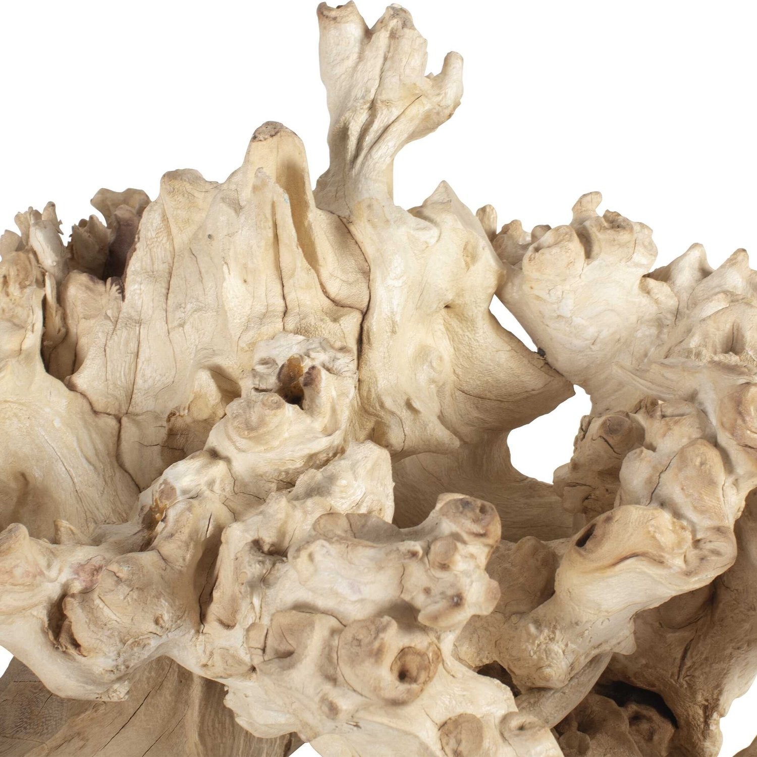 UTTERMOST ELEMENTAL ROOT OUTDOOR SCULPTURES - Decorative Accents