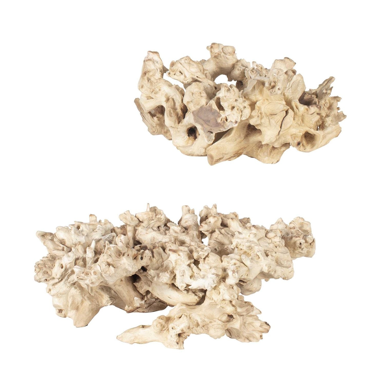 UTTERMOST ELEMENTAL ROOT OUTDOOR SCULPTURES - Decorative Accents