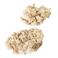 UTTERMOST Elemental Root Outdoor Sculptures Set Of 2 - Decorative Accents