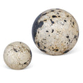 UTTERMOST Nouveau Indoor-Outdoor Spheres Set Of 2 - Decorative Accents
