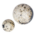 UTTERMOST Nouveau Indoor-Outdoor Spheres Set Of 2 - Decorative Accents