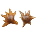 UTTERMOST Starpetal Indoor-Outdoor Bowls Set Of 2 - Decorative Accents