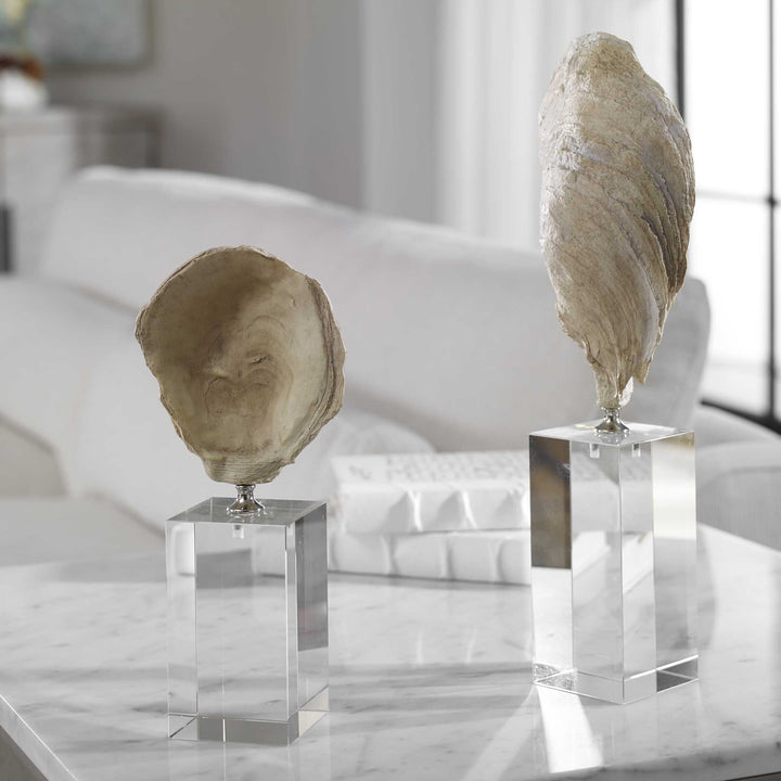 UTTERMOST OYSTER SCULPTURES - Decorative Accents