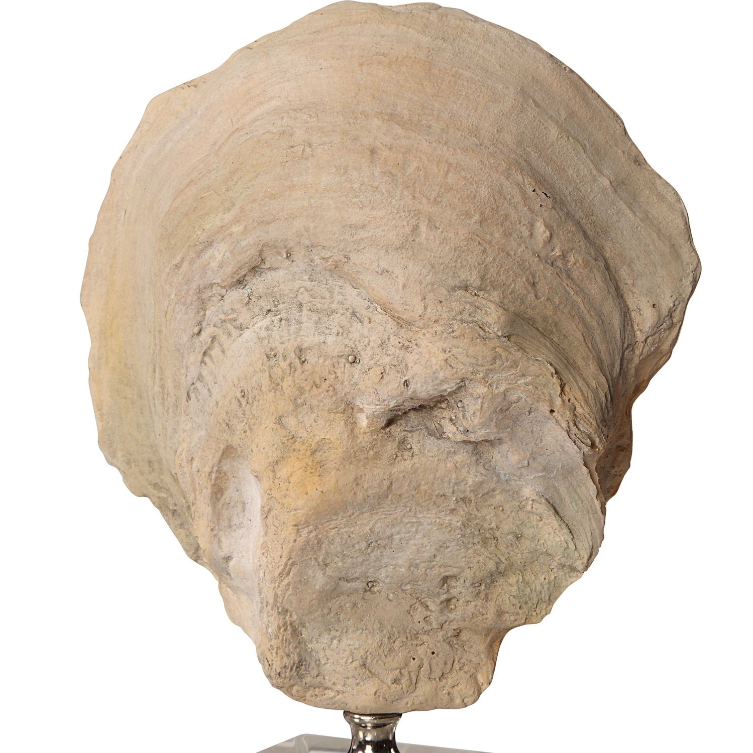 UTTERMOST Oyster Sculptures Set Of 2 - Decorative Accents