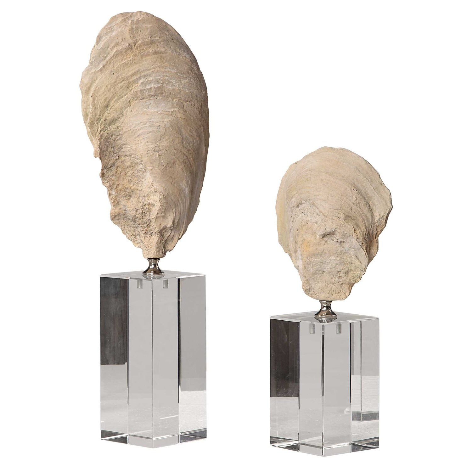 UTTERMOST OYSTER SCULPTURES - Decorative Accents