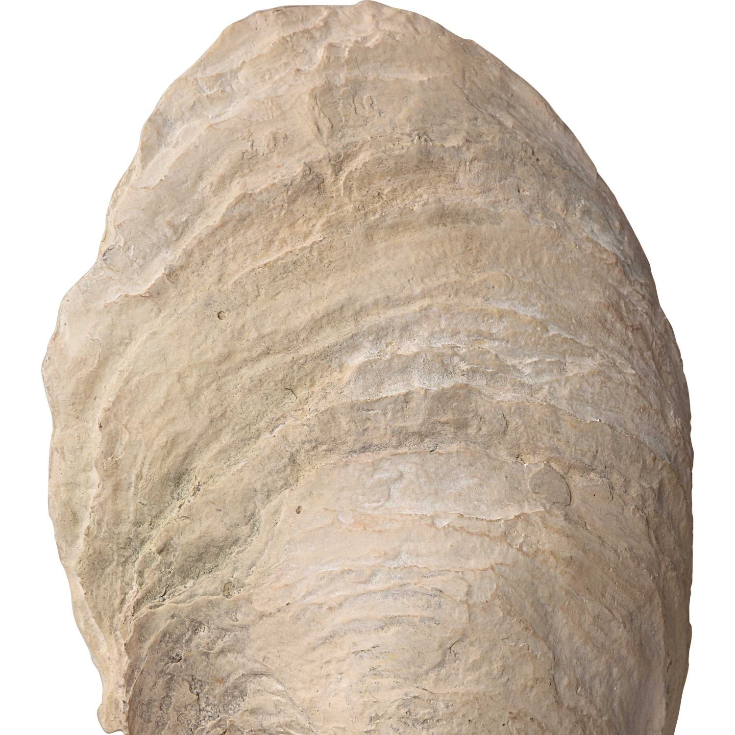 UTTERMOST OYSTER SCULPTURES - Decorative Accents
