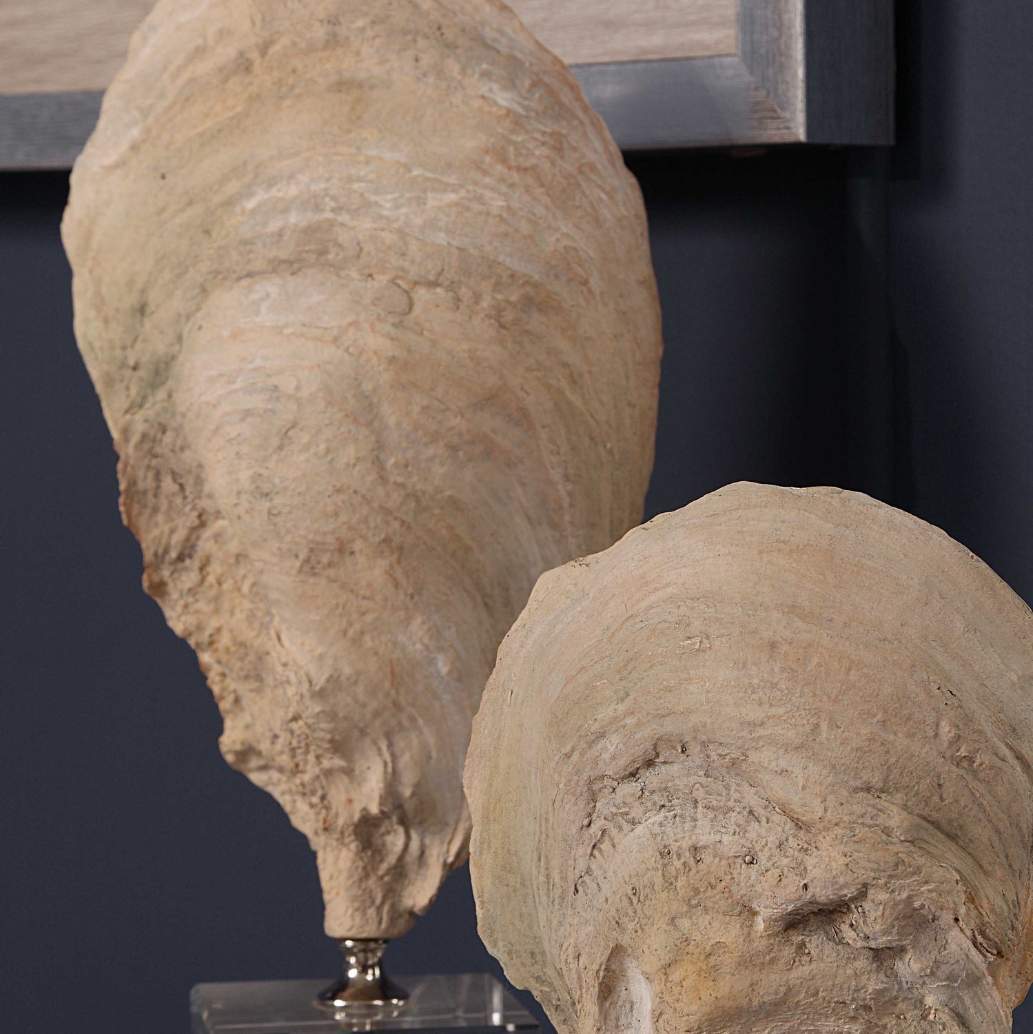 UTTERMOST OYSTER SCULPTURES - Decorative Accents