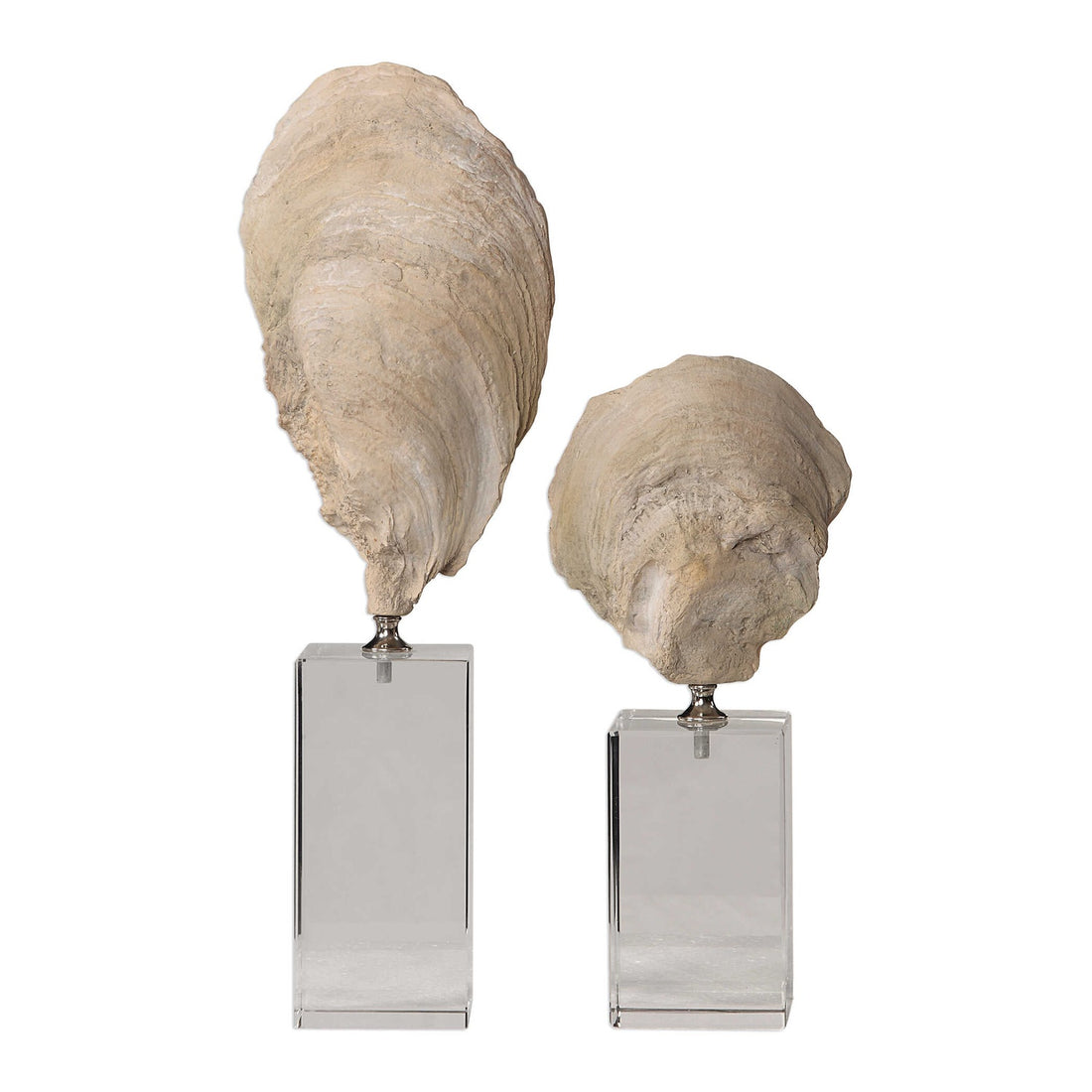 UTTERMOST OYSTER SCULPTURES - Decorative Accents