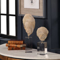 UTTERMOST OYSTER SCULPTURES - Decorative Accents