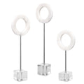 UTTERMOST COIN TOSS RINGS - Decorative Accents