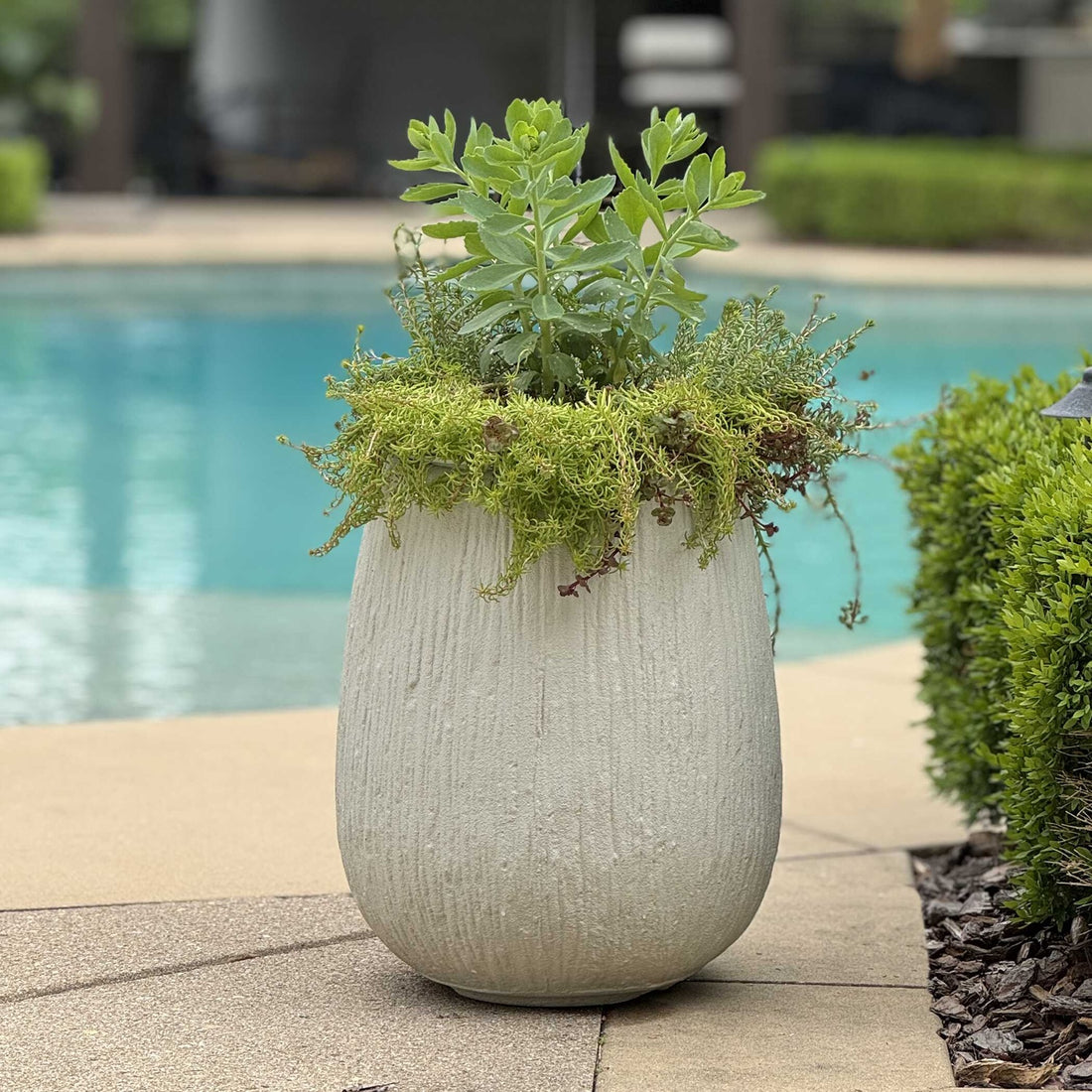 UTTERMOST Rustic Ridge Outdoor Planter - Decorative Accents
