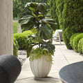 UTTERMOST Ridgehaven Outdoor Planter - Decorative Accents