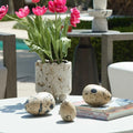 UTTERMOST Nest Trio Indoor-Outdoor Eggs Set Of 3 - Decorative Accents