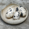 UTTERMOST Nest Trio Indoor-Outdoor Eggs Set Of 3 - Decorative Accents