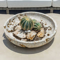 UTTERMOST Quarried Indoor-Outdoor Bowl - Decorative Accents