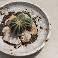 UTTERMOST Quarried Indoor-Outdoor Bowl - Decorative Accents