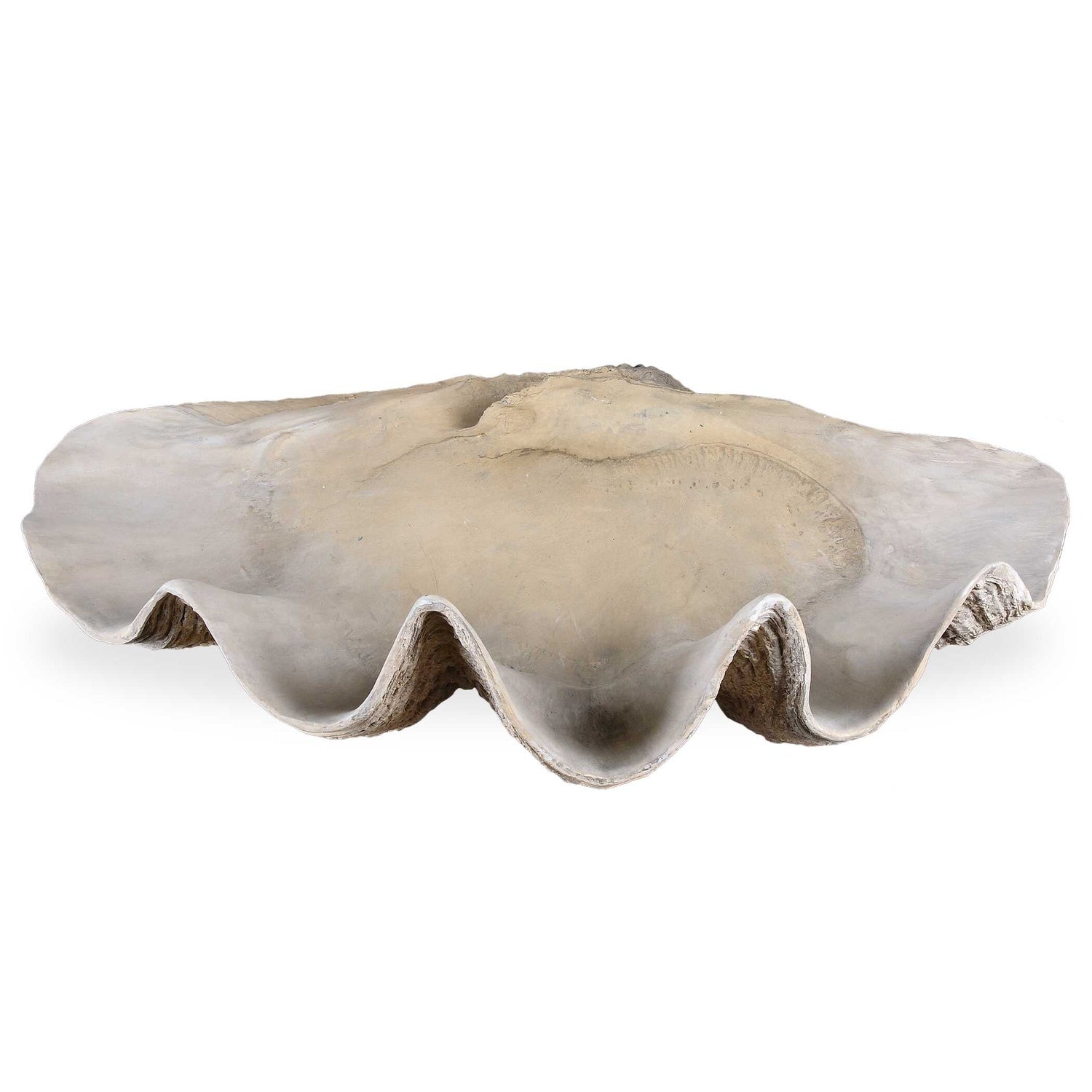 UTTERMOST Clam Bowl - Decorative Accents