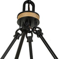Palm Royal Indoor-Outdoor Chandelier