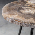 UTTERMOST MIRCEA PETRIFIED ACCENT TABLE - Side