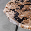 UTTERMOST MIRCEA PETRIFIED ACCENT TABLE - Side