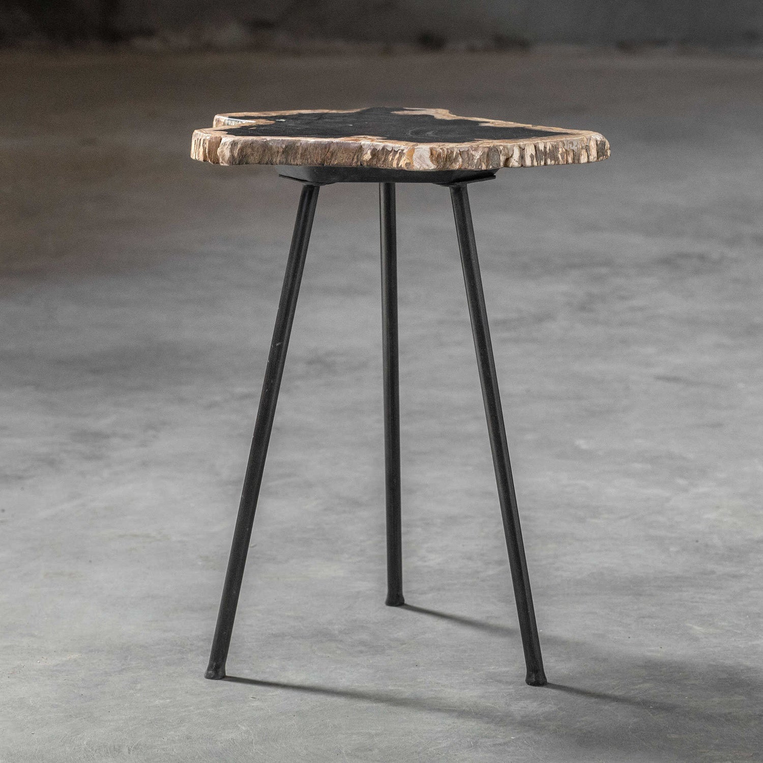 UTTERMOST MIRCEA PETRIFIED ACCENT TABLE - Side