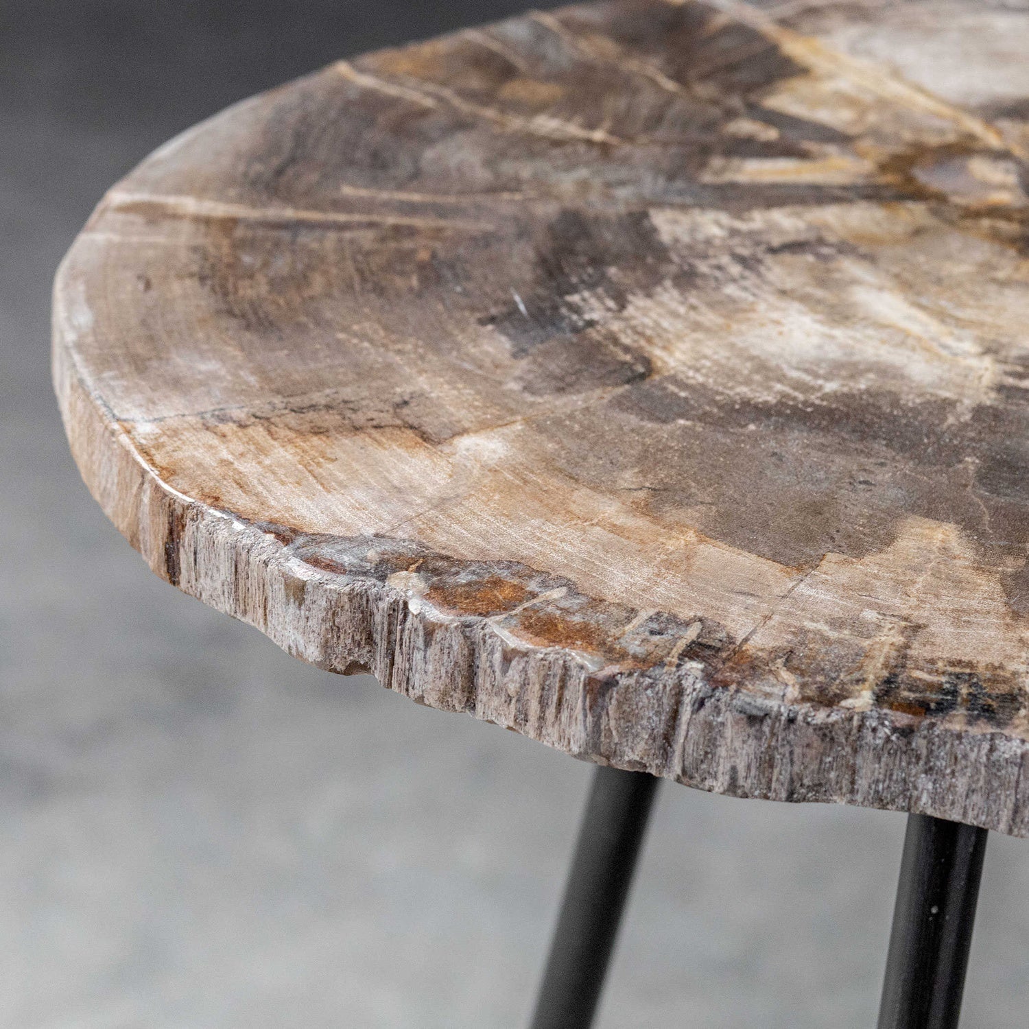UTTERMOST Mircea Petrified Accent Table - Side