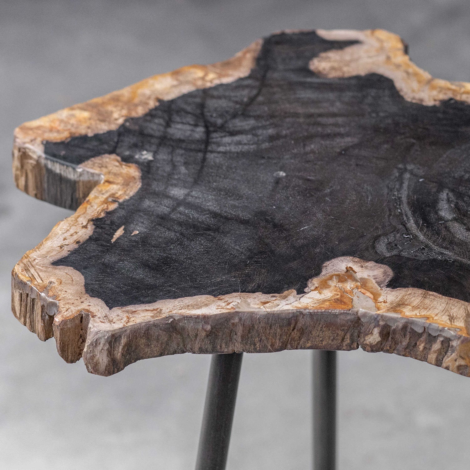 UTTERMOST Mircea Petrified Accent Table - Side