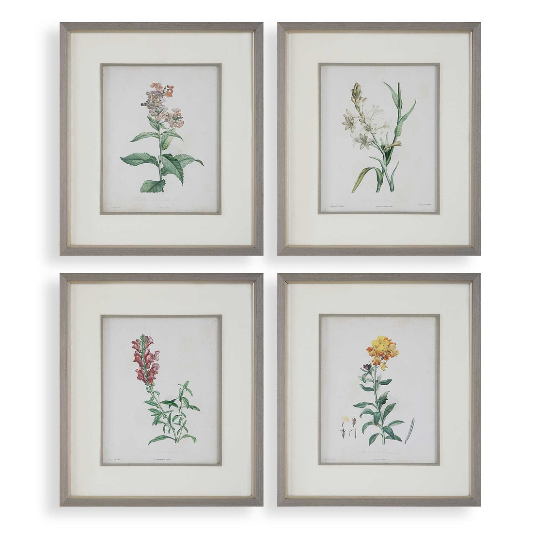 UTTERMOST HEIRLOOM BLOOMS STUDY FRAMED PRINTS - Art