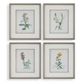 UTTERMOST HEIRLOOM BLOOMS STUDY FRAMED PRINTS - Art