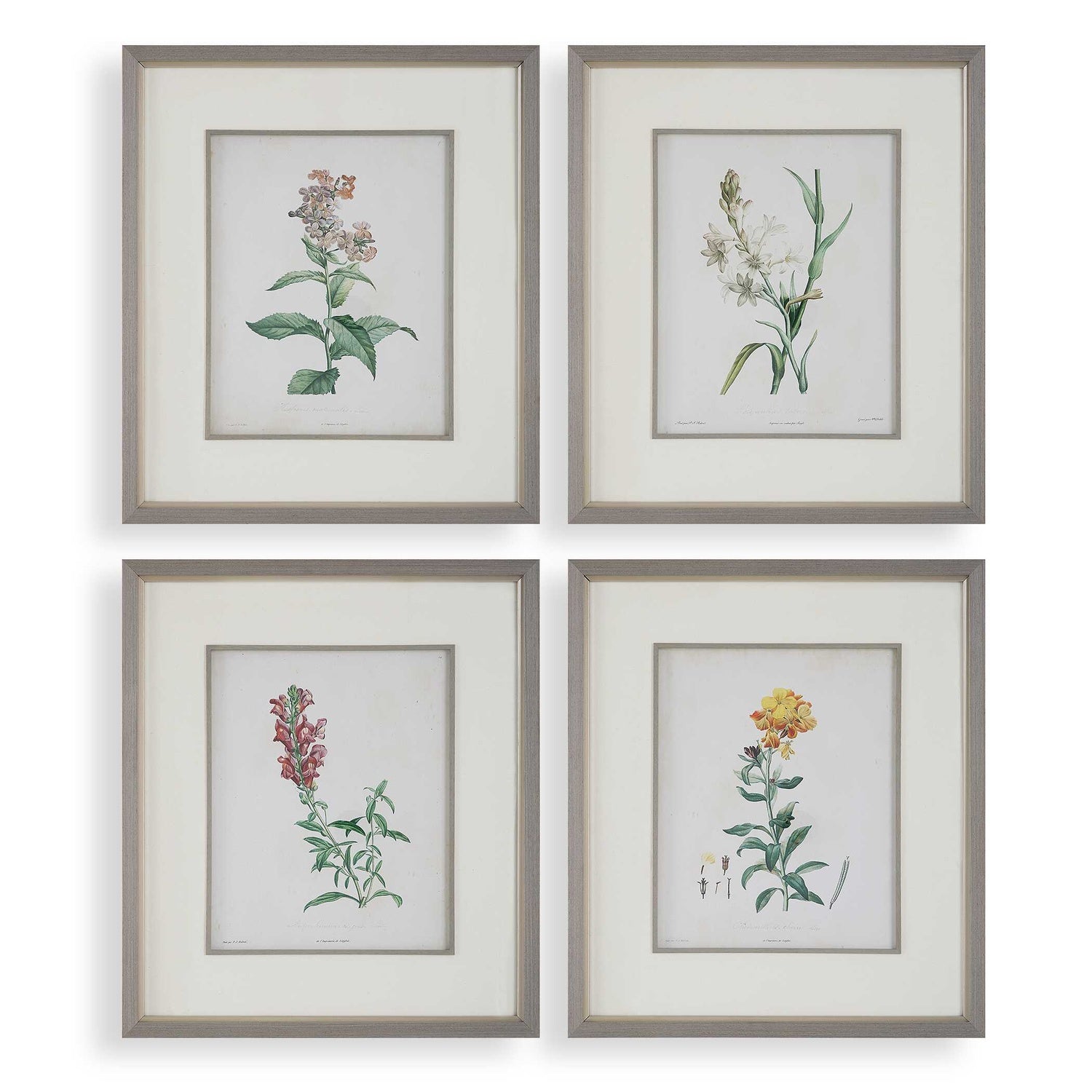 UTTERMOST HEIRLOOM BLOOMS STUDY FRAMED PRINTS - Art