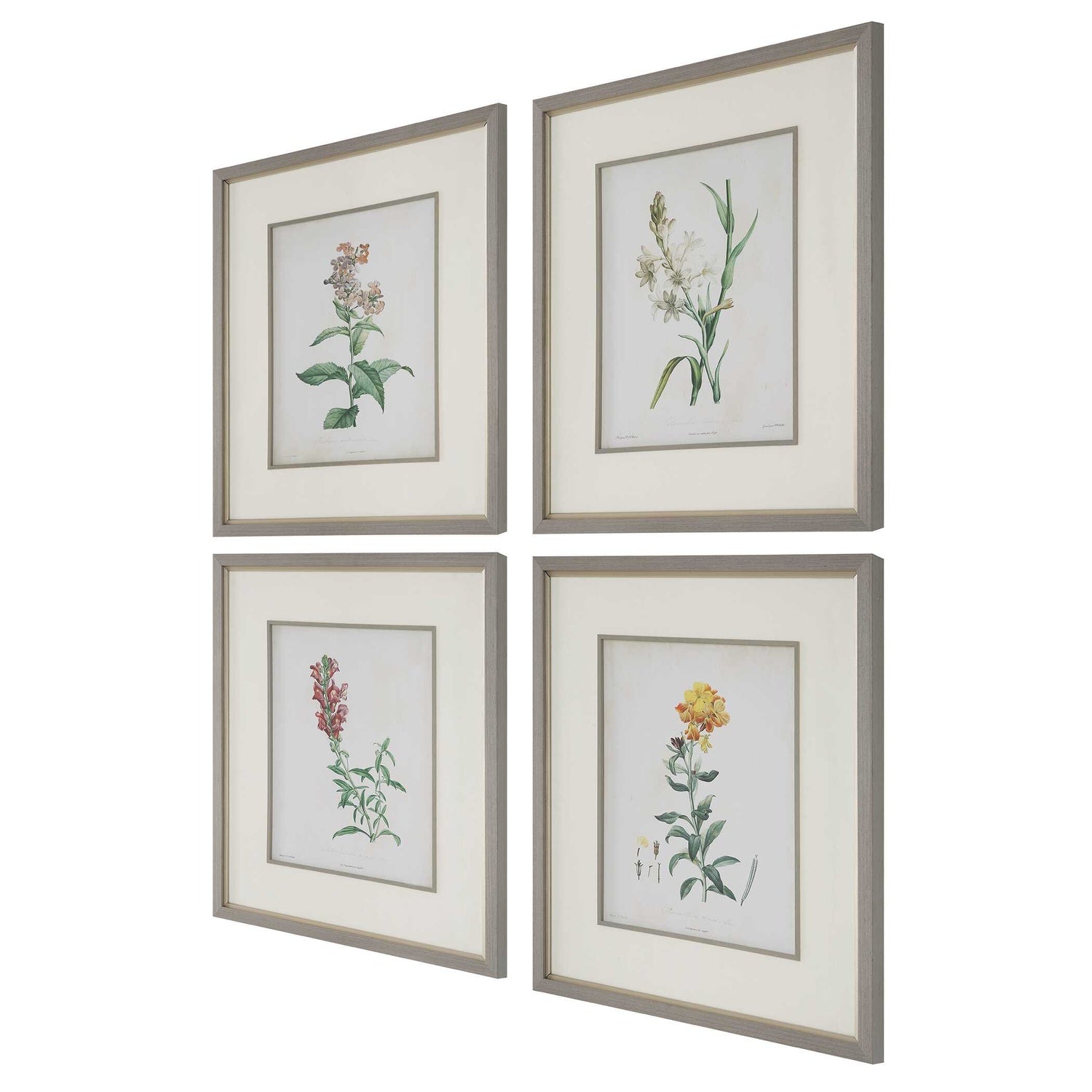 UTTERMOST HEIRLOOM BLOOMS STUDY FRAMED PRINTS - Art