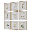 UTTERMOST FLOWERS FRAMED PRINTS - Art