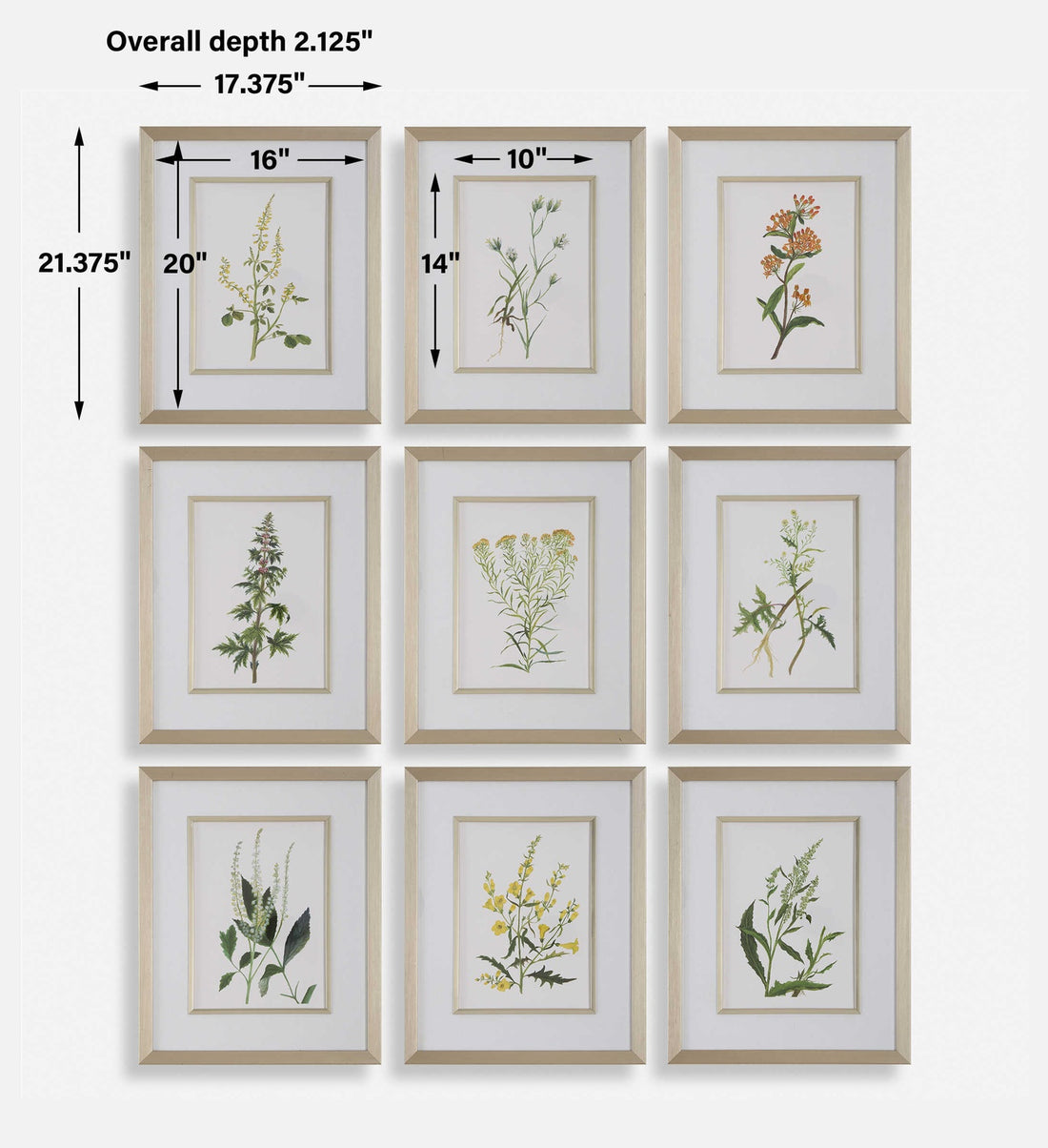 UTTERMOST FLOWERS FRAMED PRINTS - Art