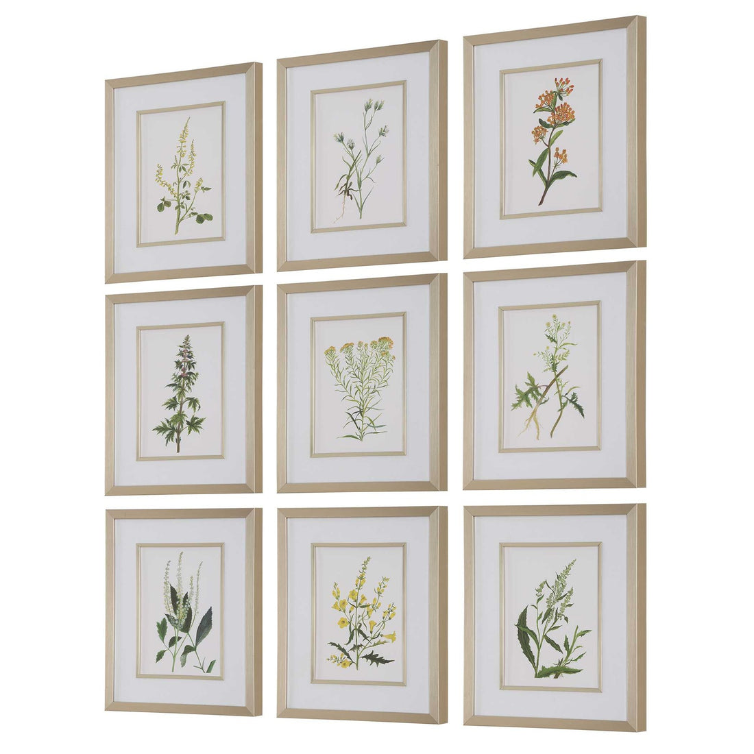 UTTERMOST Flowers Framed Prints Set Of 9 - Art