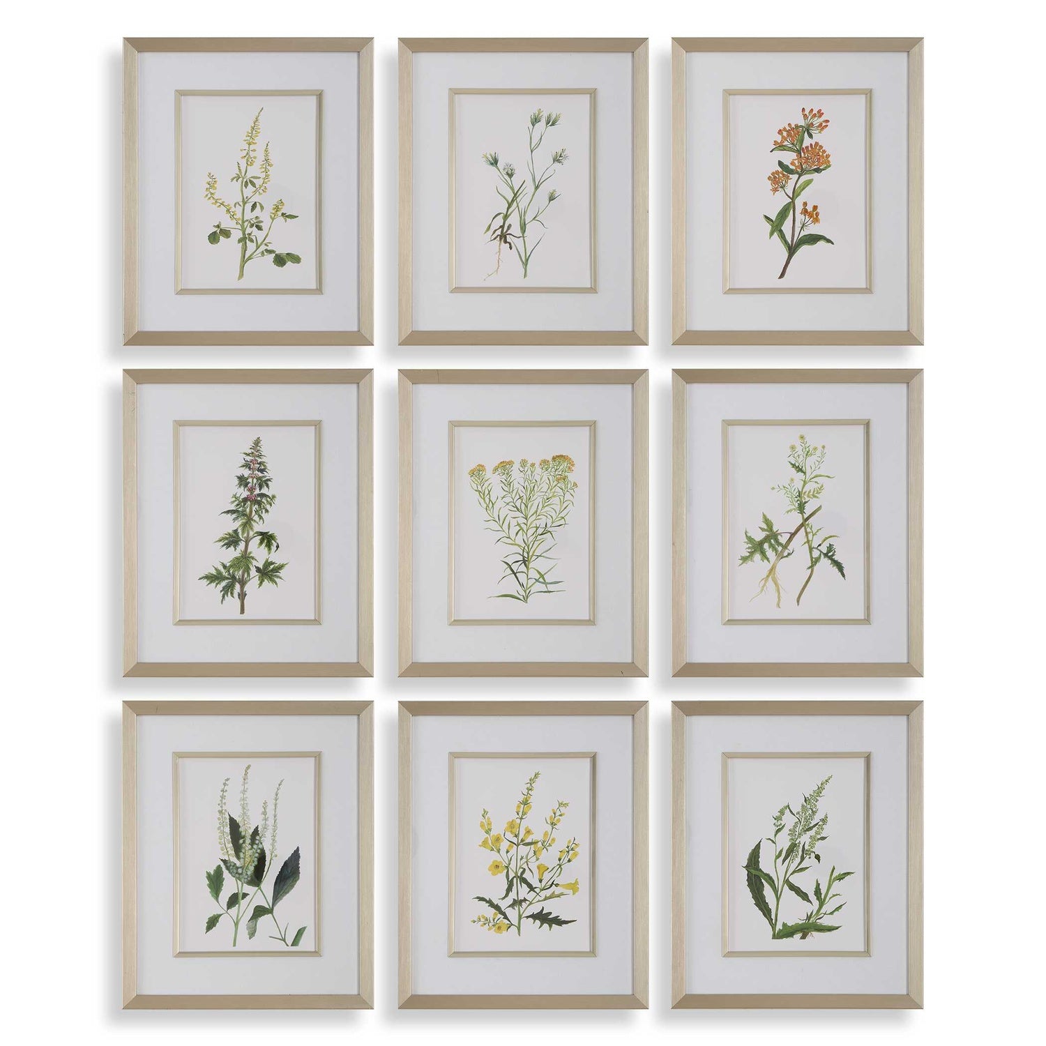 UTTERMOST FLOWERS FRAMED PRINTS - Art