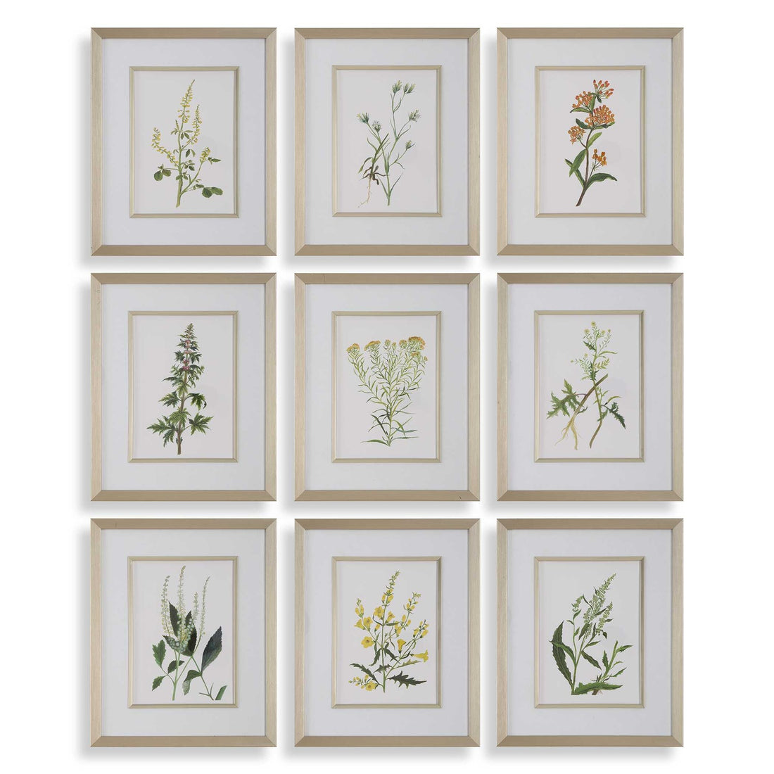 UTTERMOST Flowers Framed Prints Set Of 9 - Art
