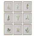 UTTERMOST Flowers Framed Prints Set Of 9 - Art