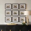 UTTERMOST EQUINE DYNASTY FRAMED PRINTS - Art