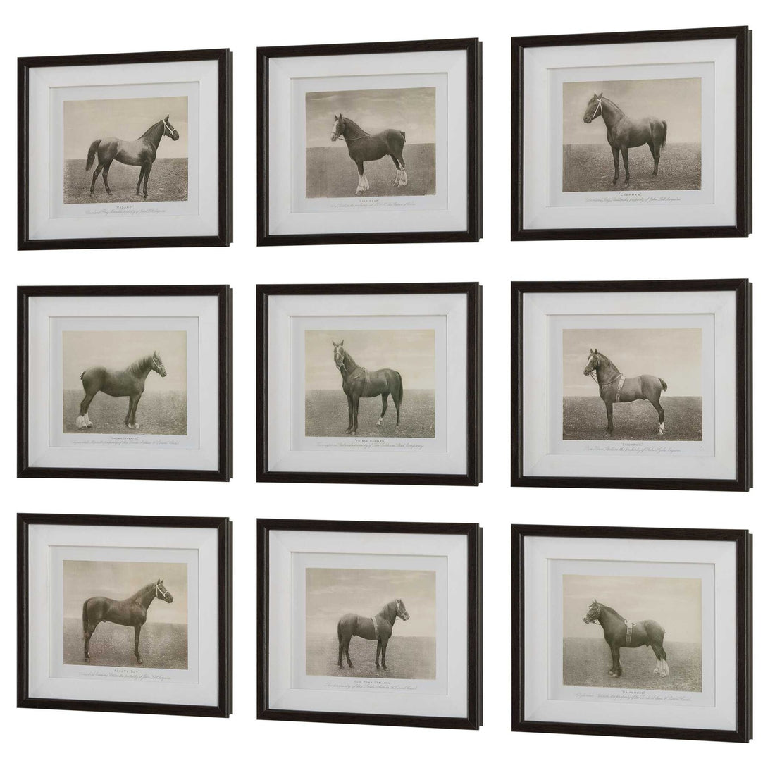 UTTERMOST EQUINE DYNASTY FRAMED PRINTS - Art