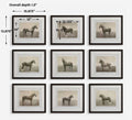 UTTERMOST Equine Dynasty Framed Prints Set Of 9 - Art