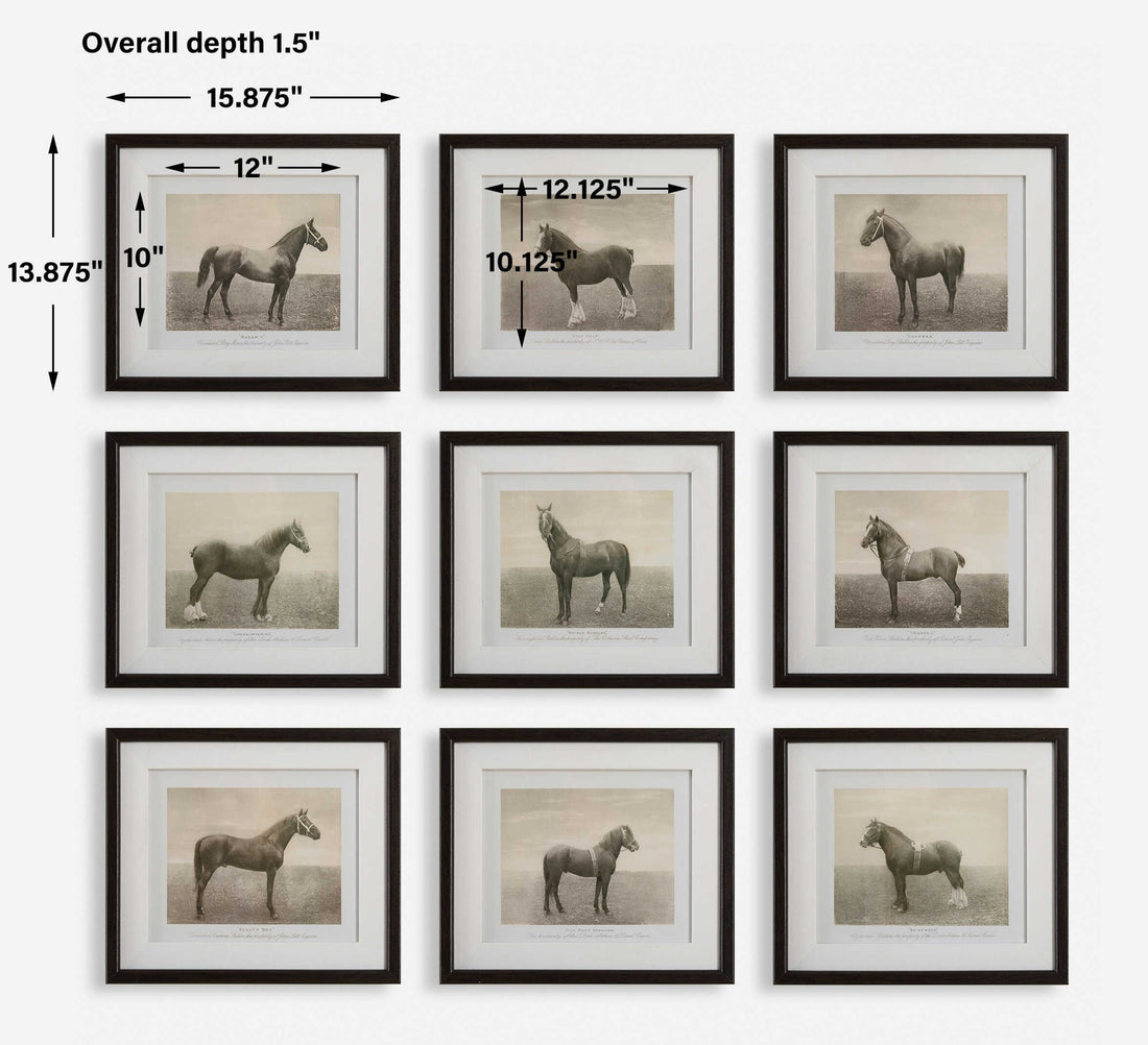 UTTERMOST EQUINE DYNASTY FRAMED PRINTS - Art
