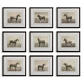 UTTERMOST EQUINE DYNASTY FRAMED PRINTS - Art