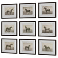 UTTERMOST Equine Dynasty Framed Prints Set Of 9 - Art