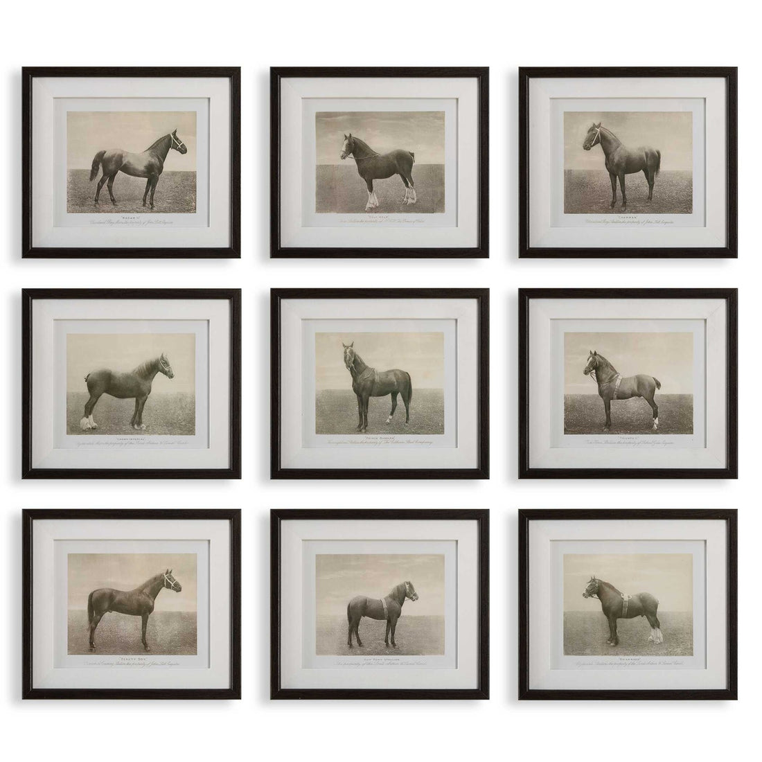 UTTERMOST Equine Dynasty Framed Prints Set Of 9 - Art
