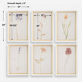 UTTERMOST WILD FLOURISH FRAMED FLORAL PRINTS - Art