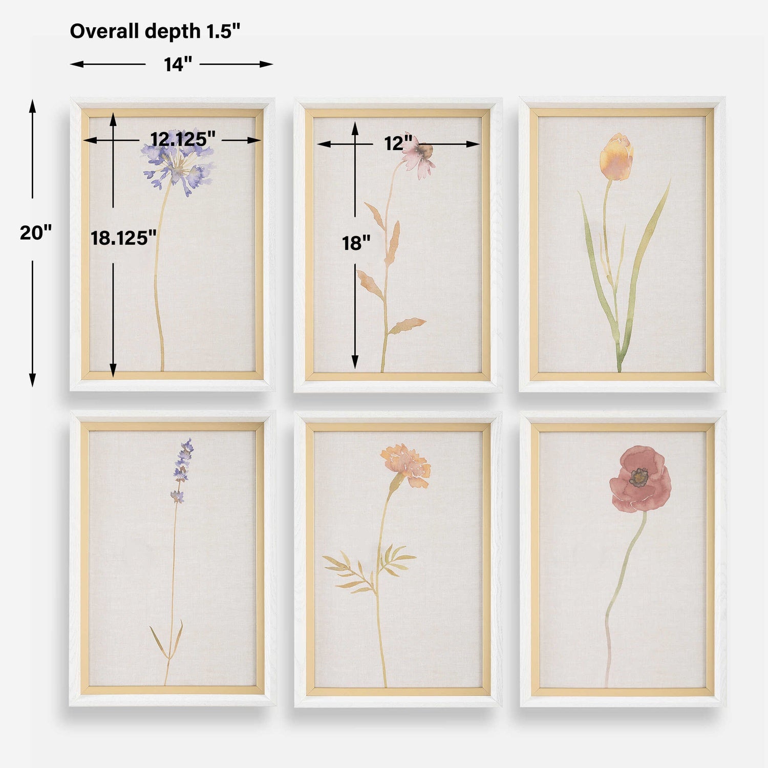 UTTERMOST WILD FLOURISH FRAMED FLORAL PRINTS - Art